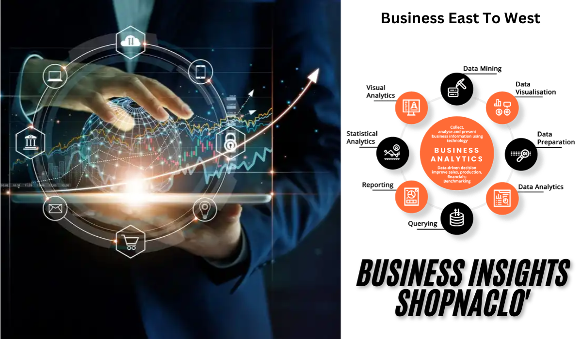 Business Insights ShopNaclo